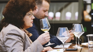 Cel mai mare investitor german din Moldova amenință cu RETRAGEREA. Ce îi afectează activitatea