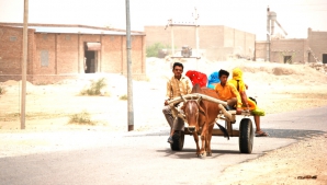 Sute de oameni, omorâți de caniculă! Meteorologii nu au vești îmbucurătoare