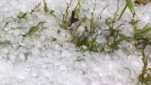 Necaz și disperare la Cotul Morii! Grindina a făcut prăpăd în satul distrus de inundaţiile din 2010