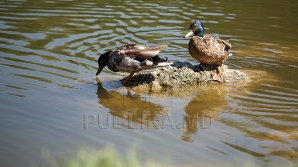Soarele nu poate fi oprit să încălzească Moldova. Prognoza meteorologilor