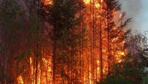 Regiunea Zabaikalie, PÂRJOLITĂ! Suprafața incendiilor s-a triplat în 24 de ore