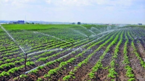 "Producţia va creşte". Programul de finanţare pentru sisteme de irigare, lăudat de fermieri (VIDEO)