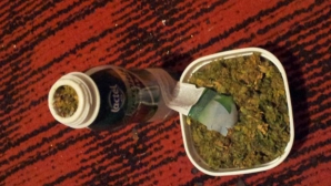 Marijuana în ghivece. Poliţia a desfiinţat o grupare care vindea droguri (FOTO)