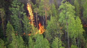 ALERTĂ! Pădurile siberiene continuă să ardă în regiunea lacului Baikal