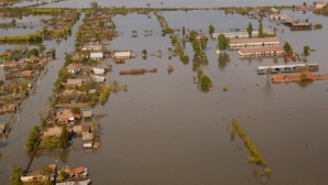 DEZASTRU! Case inundate şi copaci doborâţi în urma ploilor torenţiale (VIDEO)