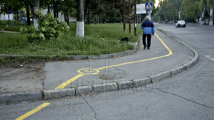 De râs şi de plâns! Angajaţii Primăriei Capitalei, "maeştri" în a vopsi cu var (FOTO)