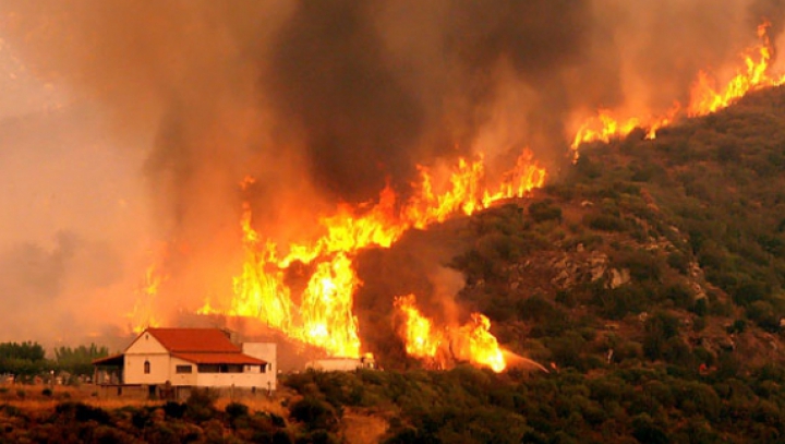 Incendiile de pădure fac ravagii în Rusia. Flăcările mistuie tot ce le stă în cale