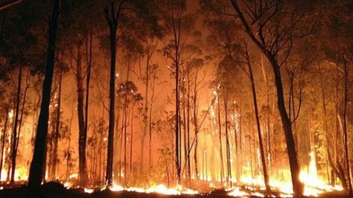 Incendiu de pădure în Corsica. Peste 1.600 de hectare afectate și trei persoane spitalizate