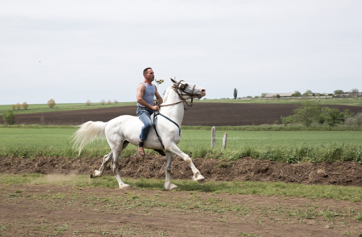 Cursă de cai la Ceadîr-Lunga! Finalul NEAŞTEPTAT al întrecerii i-a UIMIT pe spectatori (FOTOREPORT)