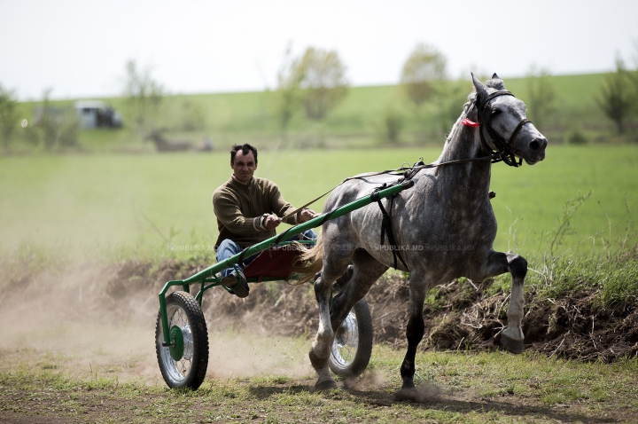 Cursă de cai la Ceadîr-Lunga! Finalul NEAŞTEPTAT al întrecerii i-a UIMIT pe spectatori (FOTOREPORT)