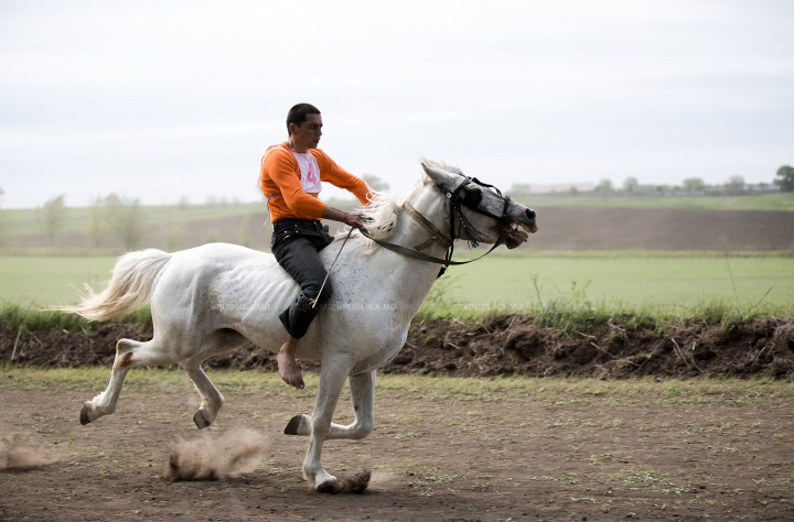 Cursă de cai la Ceadîr-Lunga! Finalul NEAŞTEPTAT al întrecerii i-a UIMIT pe spectatori (FOTOREPORT)