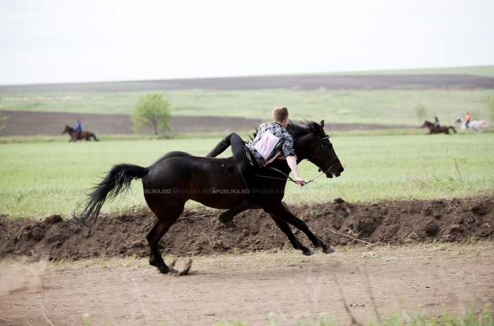 Cursă de cai la Ceadîr-Lunga! Finalul NEAŞTEPTAT al întrecerii i-a UIMIT pe spectatori (FOTOREPORT)