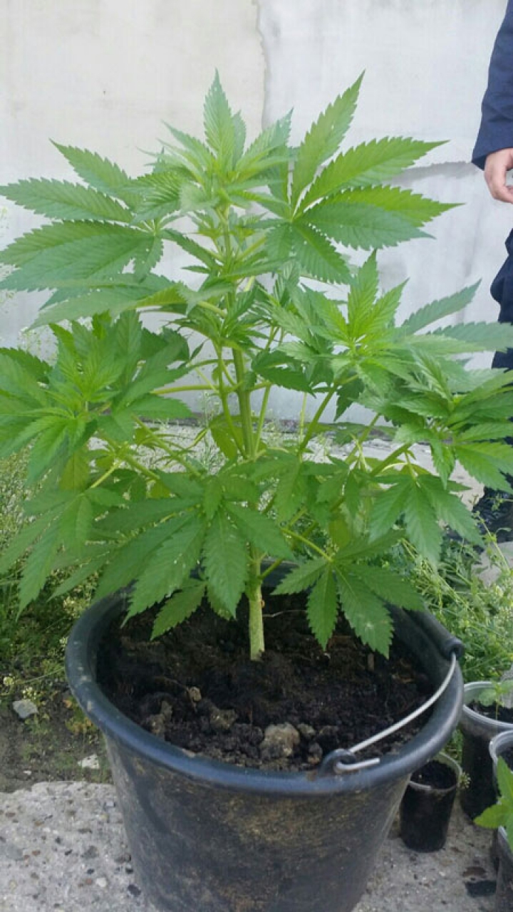 Un bărbat din Orhei, bănuit de trafic de persoane, găsit vinovat şi pentru ce făcea acasă (VIDEO)