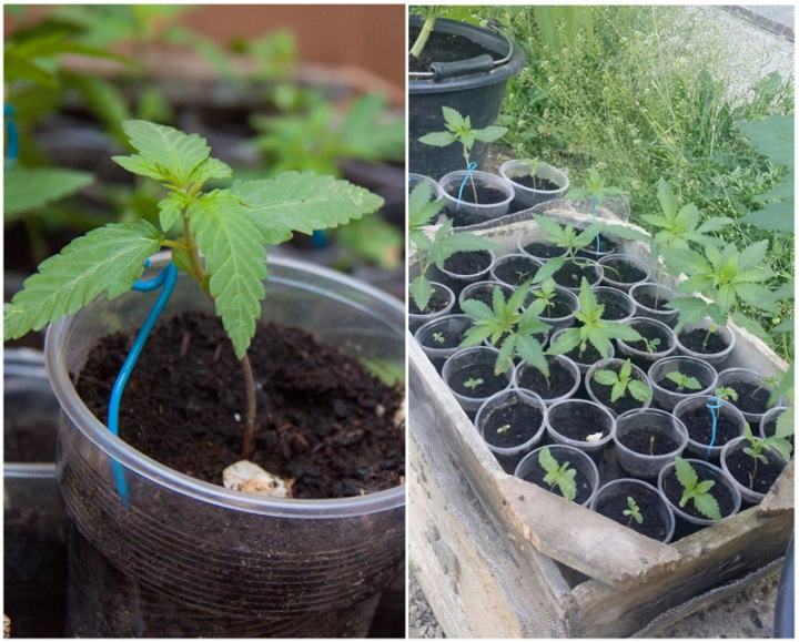 Un bărbat din Orhei, bănuit de trafic de persoane, găsit vinovat şi pentru ce făcea acasă (VIDEO)