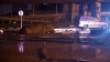 SITUAŢIE EXCEPŢIONALĂ la Tbilisi! Crocodili, hipopotami şi urşi au invadat străzile inundate (FOTO)