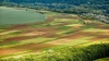 Agricultura, AMENINŢATĂ DE SECETĂ. Fermierii se aşteaptă la pagube şi caută cu disperare soluţii