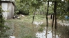 NO COMMENT! Gospodării inundate şi păsări domestice ucise în urma PLOILOR ABUNDENTE (VIDEO)