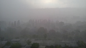 PAGUBE de mii de lei! Ploaia torenţială a ruinat afacerea prosperă a unui fermier din Costești