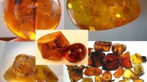 Schemă de contrabandă cu pietre semiprețioase, DECONSPIRATĂ! Ce pedeapsă riscă bănuiții