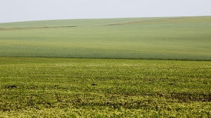 VESTE BUNĂ pentru fermierii moldoveni. Anunţul Ministerului Finanţelor 