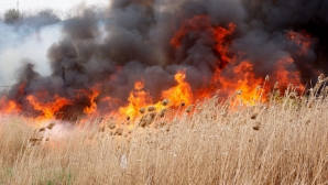 Incendii DEVASTATOARE în Alaska. Sute de pompieri au fost mobilizaţi pentru a stinge focul