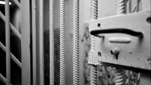 Poliţiştii au găsit ASTA pe un teren din apropierea Capitalei. Persoanele implicate riscă ÎNCHISOARE