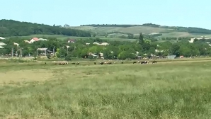 Sat lăsat de izbelişte! Locuitorii din Stepsoci aşteaptă soluţii pentru o viaţă mai bună