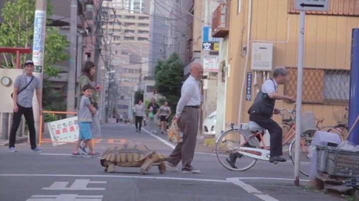 "E ca un copil". Un bărbat din Tokyo este însoţit de 19 ani de patrupedul său (FOTO/VIDEO)