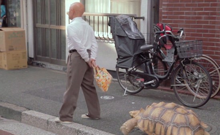 "E ca un copil". Un bărbat din Tokyo este însoţit de 19 ani de patrupedul său (FOTO/VIDEO)