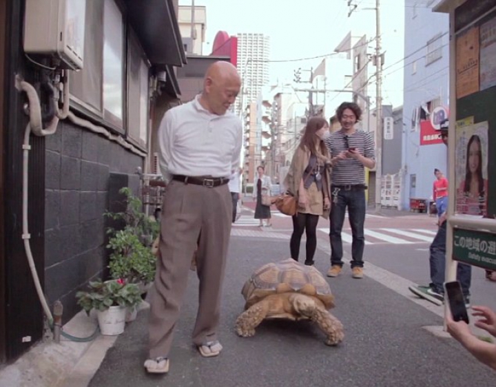"E ca un copil". Un bărbat din Tokyo este însoţit de 19 ani de patrupedul său (FOTO/VIDEO)