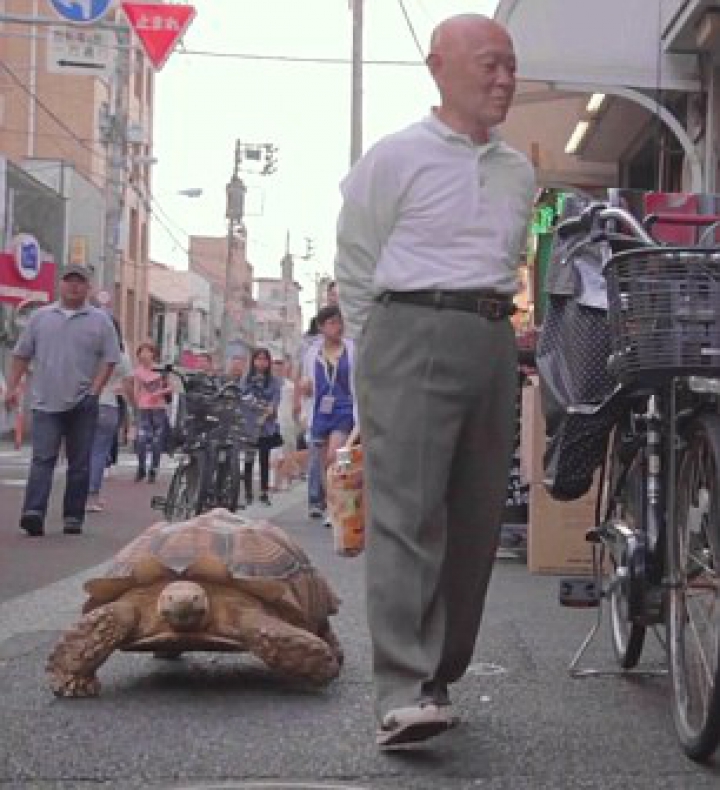 "E ca un copil". Un bărbat din Tokyo este însoţit de 19 ani de patrupedul său (FOTO/VIDEO)