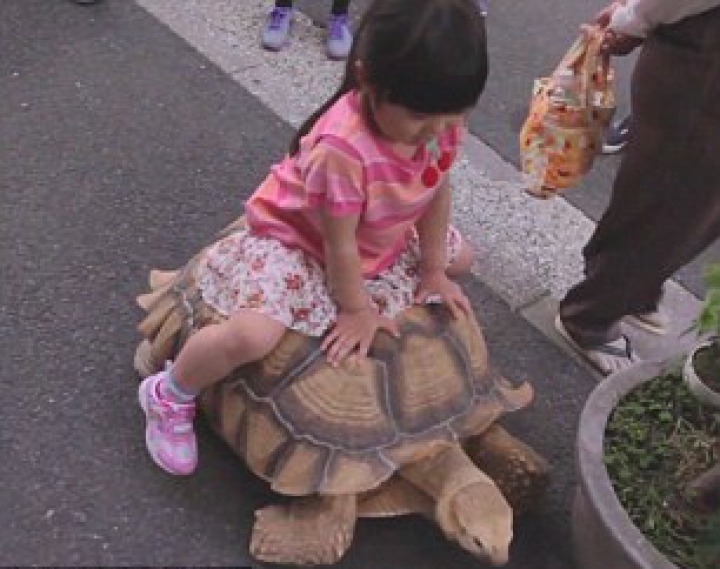 "E ca un copil". Un bărbat din Tokyo este însoţit de 19 ani de patrupedul său (FOTO/VIDEO)