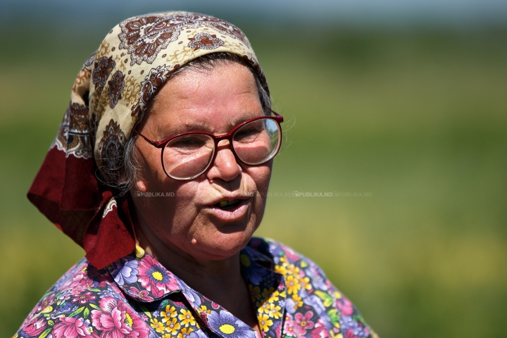 NECAZUL oamenilor de la ţară: Sunt pârjoliţi de soare şi chinuiţi de munci grele (FOTOREPORT)