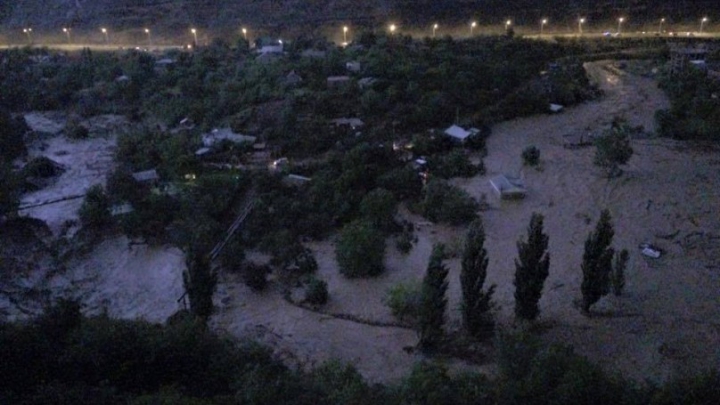 SITUAŢIE EXCEPŢIONALĂ la Tbilisi! Crocodili, hipopotami şi urşi au invadat străzile inundate (FOTO)