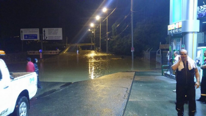 SITUAŢIE EXCEPŢIONALĂ la Tbilisi! Crocodili, hipopotami şi urşi au invadat străzile inundate (FOTO)