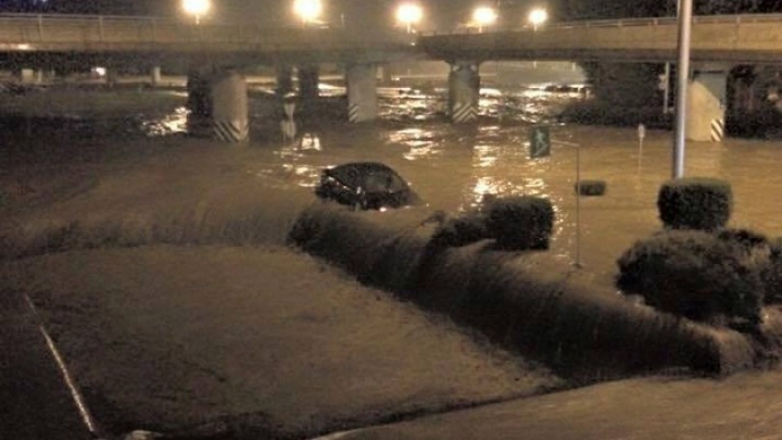 SITUAŢIE EXCEPŢIONALĂ la Tbilisi! Crocodili, hipopotami şi urşi au invadat străzile inundate (FOTO)