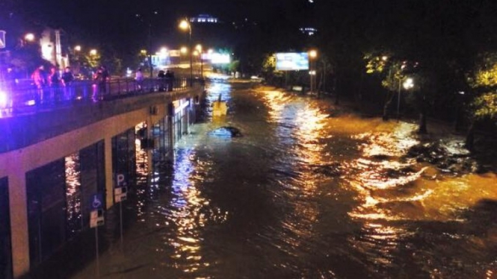 SITUAŢIE EXCEPŢIONALĂ la Tbilisi! Crocodili, hipopotami şi urşi au invadat străzile inundate (FOTO)