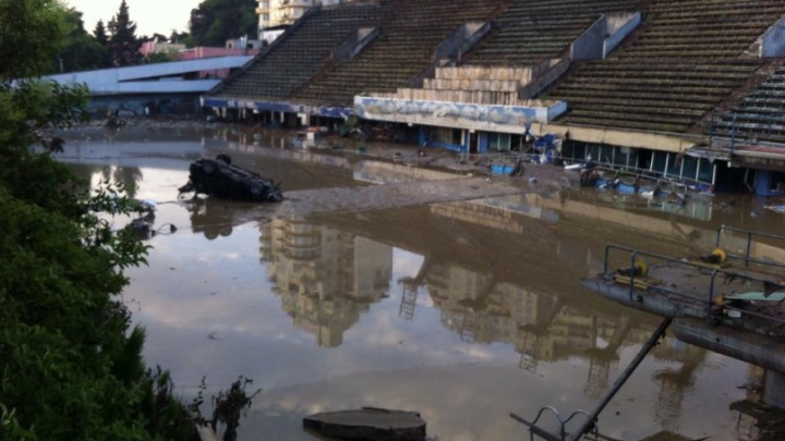 SITUAŢIE EXCEPŢIONALĂ la Tbilisi! Crocodili, hipopotami şi urşi au invadat străzile inundate (FOTO)