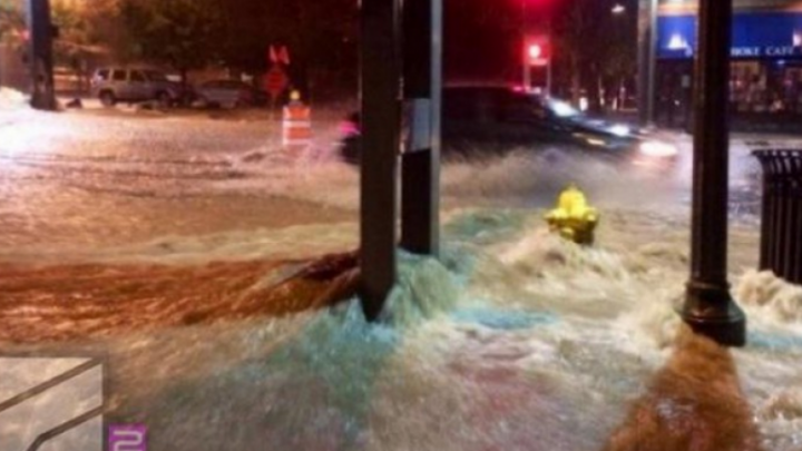 SITUAŢIE EXCEPŢIONALĂ la Tbilisi! Crocodili, hipopotami şi urşi au invadat străzile inundate (FOTO)