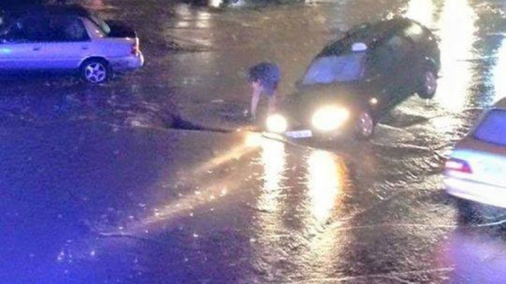 SITUAŢIE EXCEPŢIONALĂ la Tbilisi! Crocodili, hipopotami şi urşi au invadat străzile inundate (FOTO)