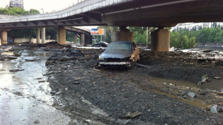 SITUAŢIE EXCEPŢIONALĂ la Tbilisi! Crocodili, hipopotami şi urşi au invadat străzile inundate (FOTO)