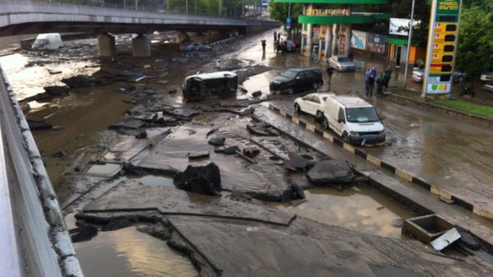 SITUAŢIE EXCEPŢIONALĂ la Tbilisi! Crocodili, hipopotami şi urşi au invadat străzile inundate (FOTO)