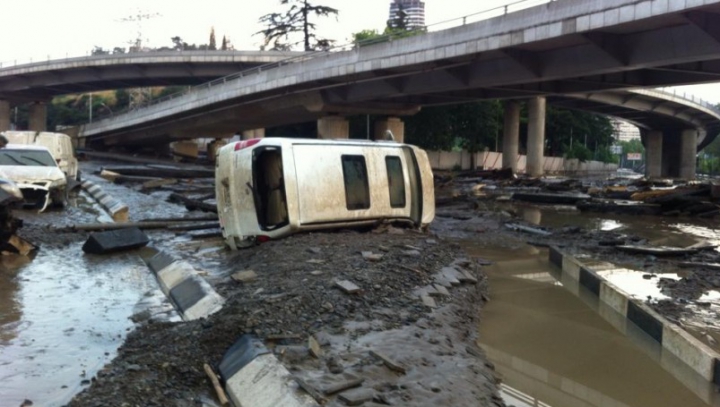 SITUAŢIE EXCEPŢIONALĂ la Tbilisi! Crocodili, hipopotami şi urşi au invadat străzile inundate (FOTO)