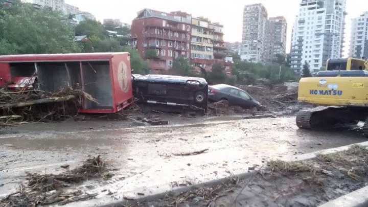 SITUAŢIE EXCEPŢIONALĂ la Tbilisi! Crocodili, hipopotami şi urşi au invadat străzile inundate (FOTO)