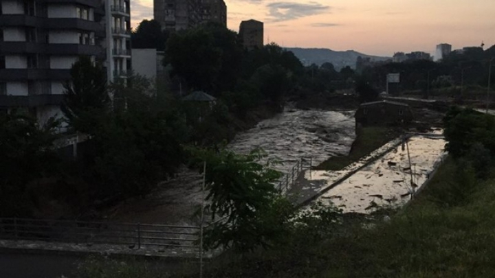 SITUAŢIE EXCEPŢIONALĂ la Tbilisi! Crocodili, hipopotami şi urşi au invadat străzile inundate (FOTO)