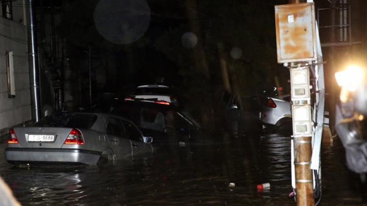 SITUAŢIE EXCEPŢIONALĂ la Tbilisi! Crocodili, hipopotami şi urşi au invadat străzile inundate (FOTO)