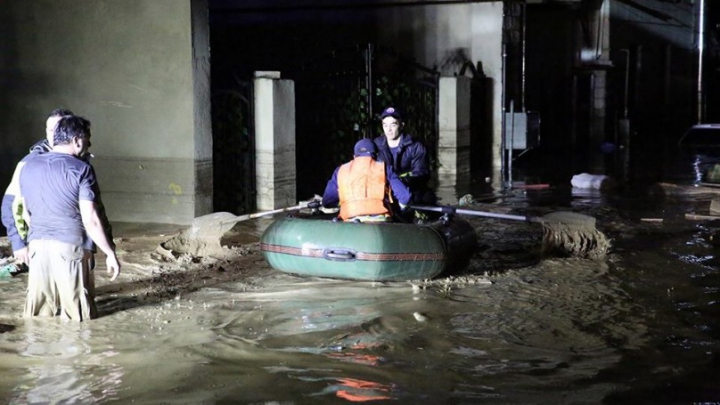 SITUAŢIE EXCEPŢIONALĂ la Tbilisi! Crocodili, hipopotami şi urşi au invadat străzile inundate (FOTO)