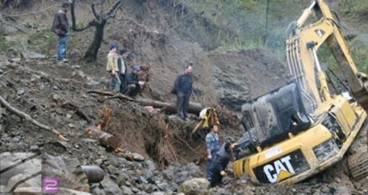 SITUAŢIE EXCEPŢIONALĂ la Tbilisi! Crocodili, hipopotami şi urşi au invadat străzile inundate (FOTO)