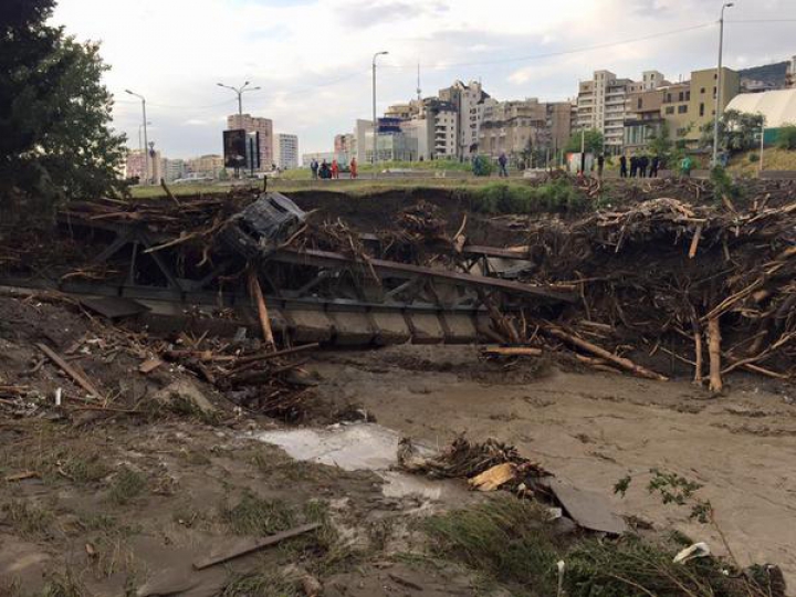 SITUAŢIE EXCEPŢIONALĂ la Tbilisi! Crocodili, hipopotami şi urşi au invadat străzile inundate (FOTO)