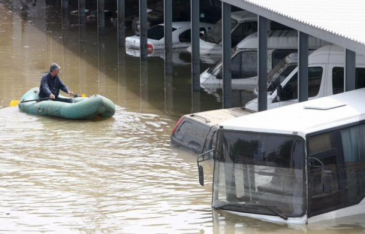 SITUAŢIE EXCEPŢIONALĂ la Tbilisi! Crocodili, hipopotami şi urşi au invadat străzile inundate (FOTO)